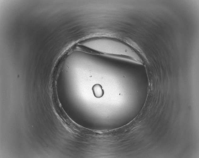 X0000067470436200604101203