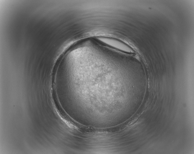 X0000067470438200604101203