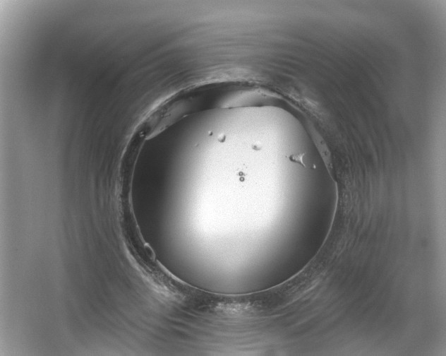 X0000067470440200604101203