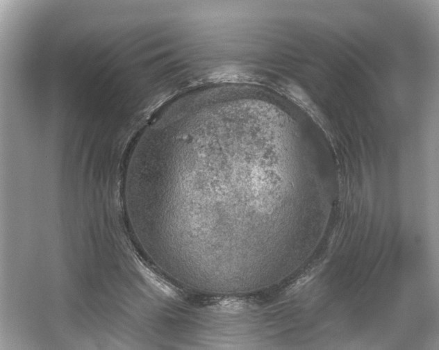 X0000067470441200604101203