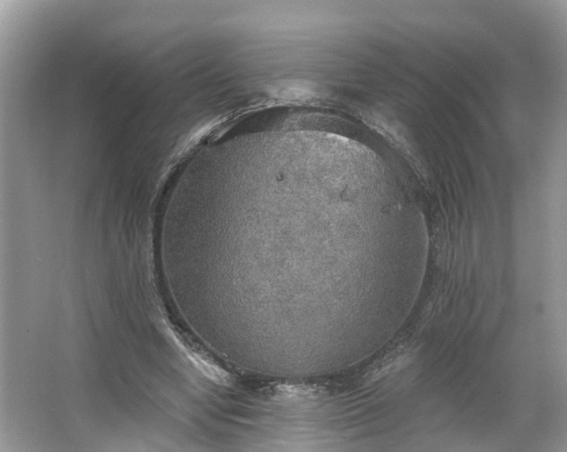 X0000067470442200604101203