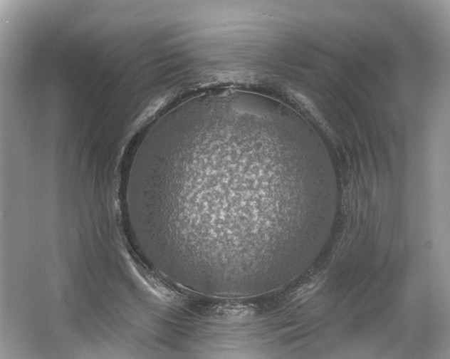 X0000067470443200604101203