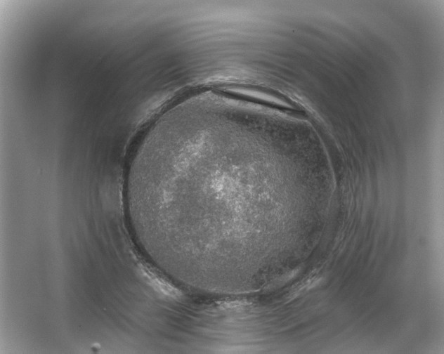 X0000067470446200604101203