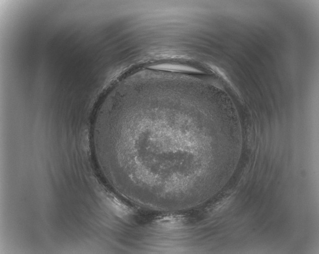 X0000067470447200604101203