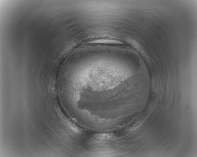 X0000067470449200604101203