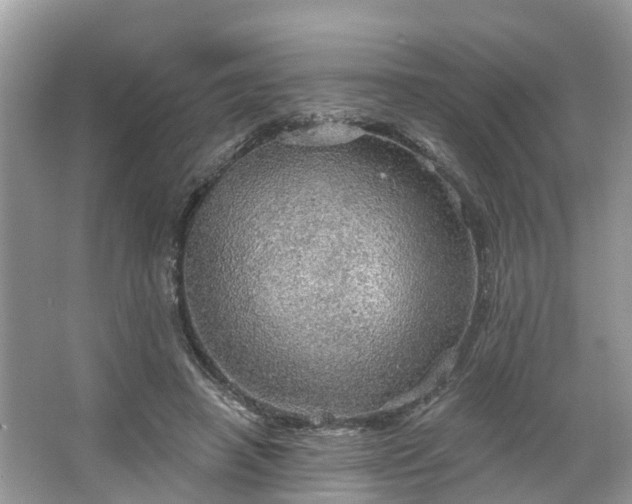 X0000067470450200604101203