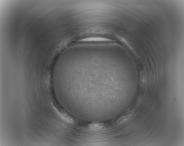 X0000067470451200604101203