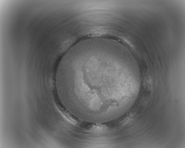 X0000067470455200604101203