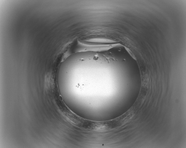 X0000067470456200604101203