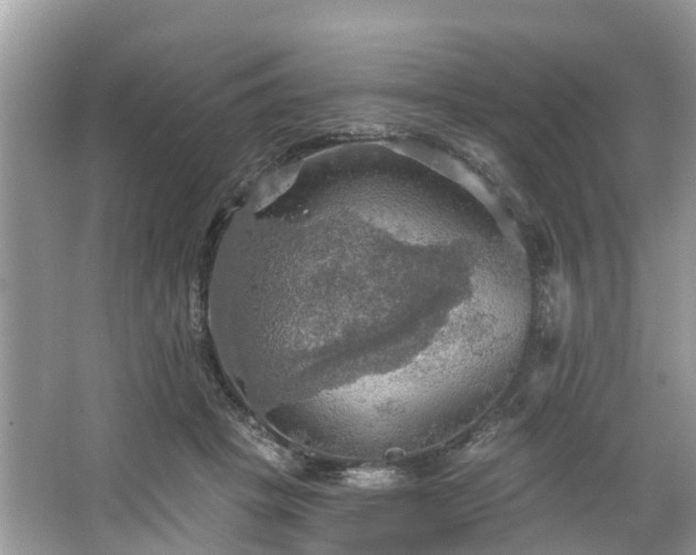 X0000067470457200604101203