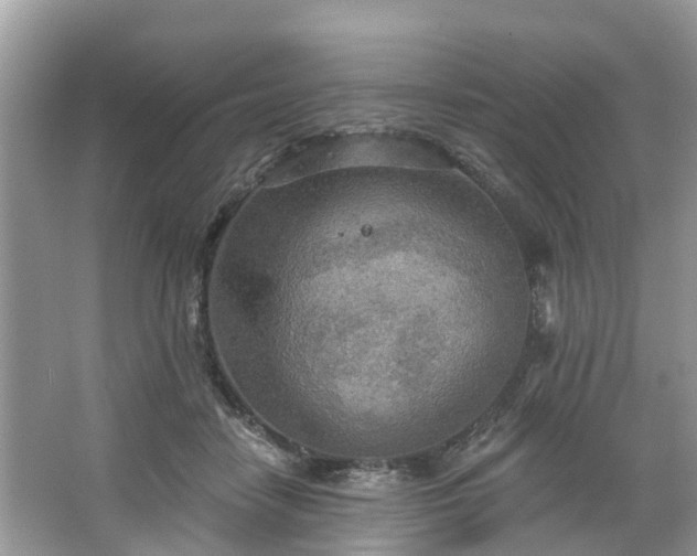 X0000067470458200604101203