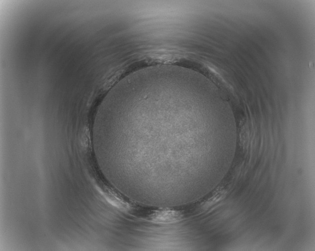 X0000067470459200604101203