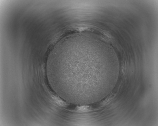 X0000067470461200604101203