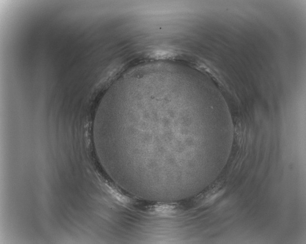 X0000067470462200604101203