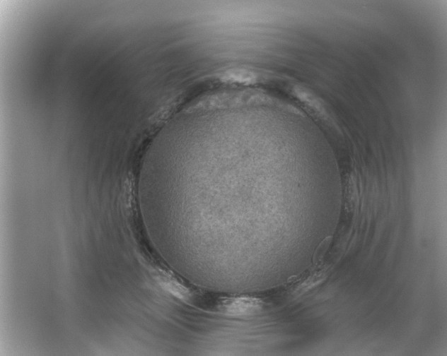 X0000067470463200604101203