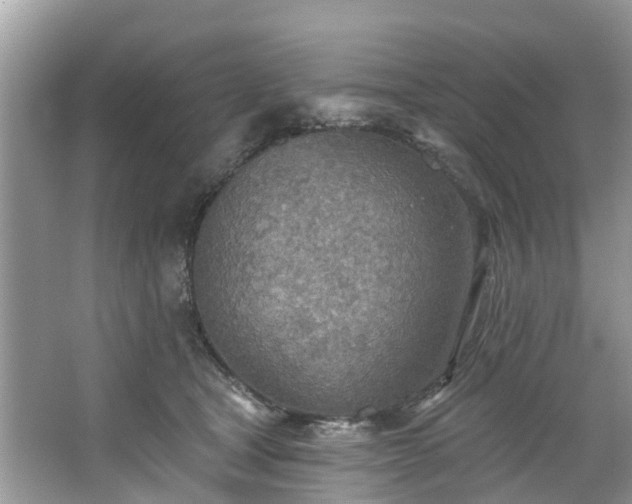 X0000067470465200604101203