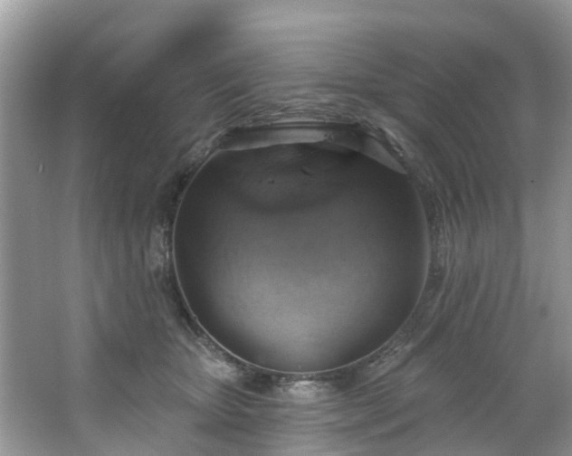 X0000067470467200604101203