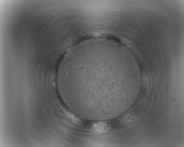 X0000067470470200604101203