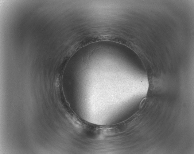 X0000067470472200604101203