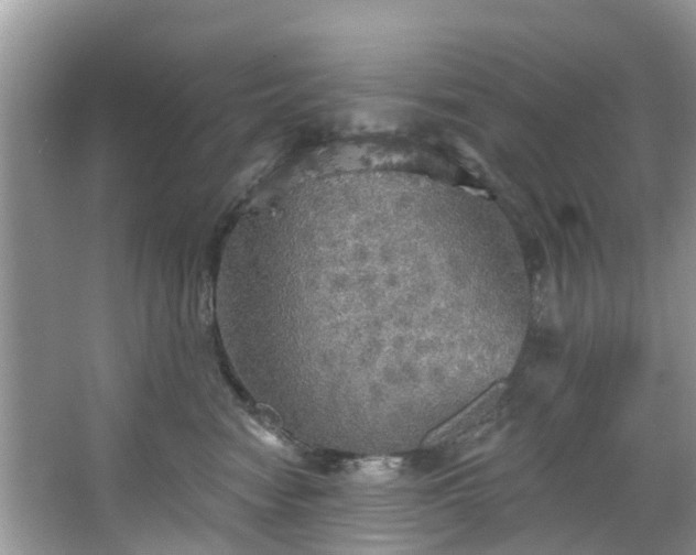 X0000067470474200604101203