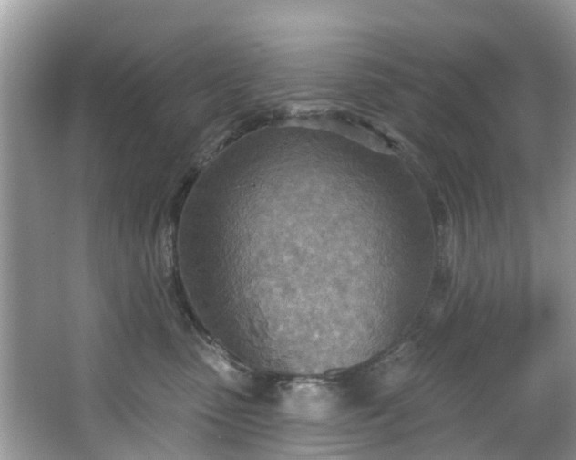 X0000067470475200604101203