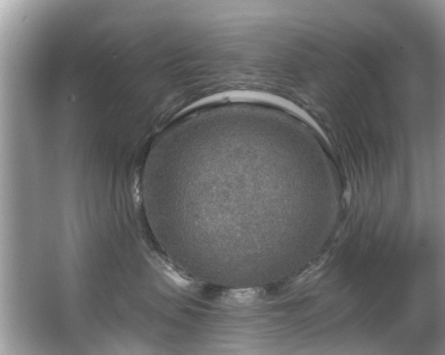 X0000067470479200604101204