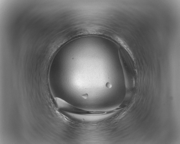 X0000067470481200604101203