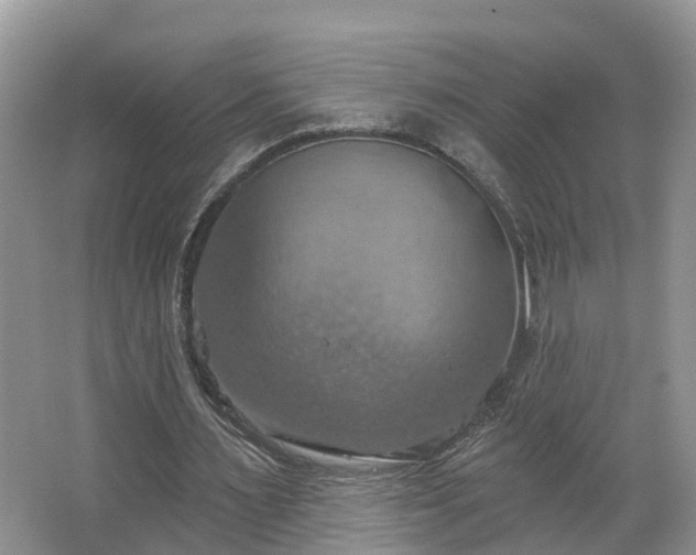 X0000067470483200604101203