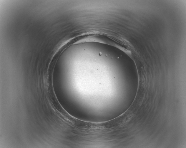 X0000067470484200604101203