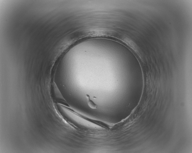 X0000067470485200604101203