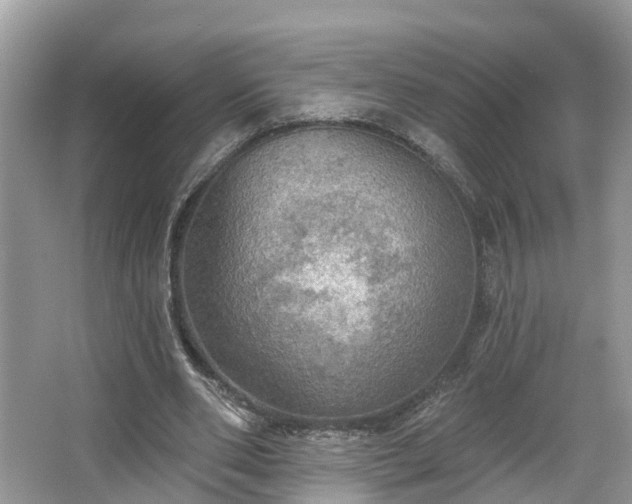 X0000067470486200604101203