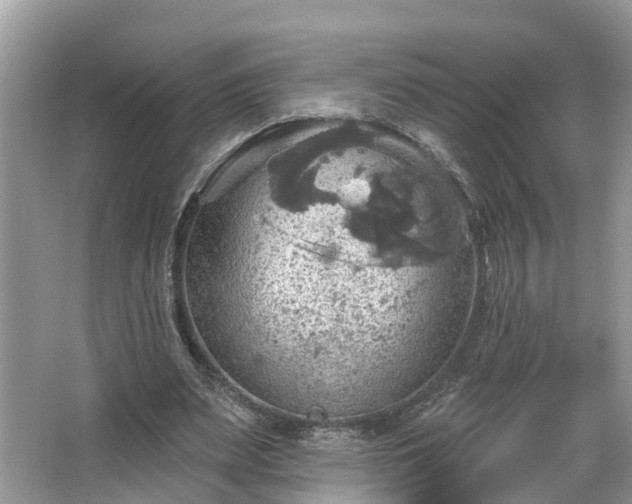 X0000067470487200604101203