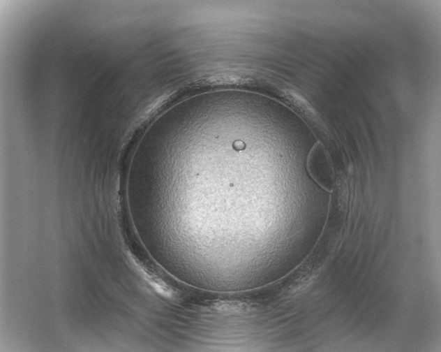 X0000067470490200604101203