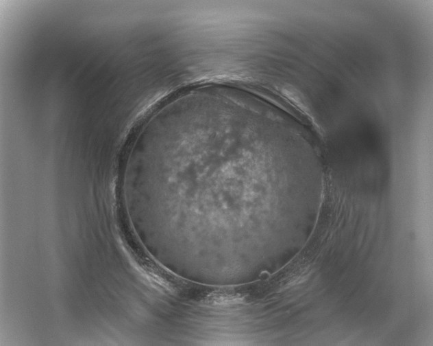 X0000067470491200604101203