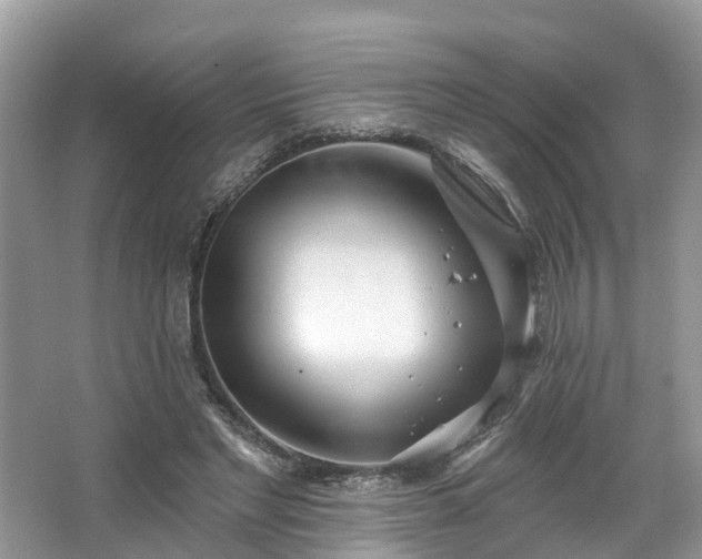 X0000067470493200604101203