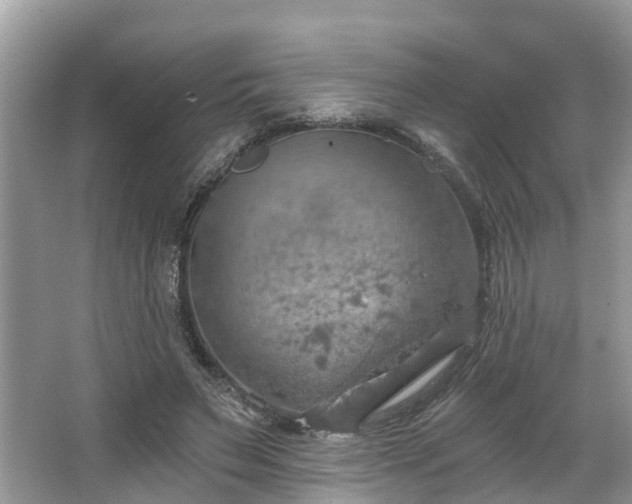 X0000067470495200604101202