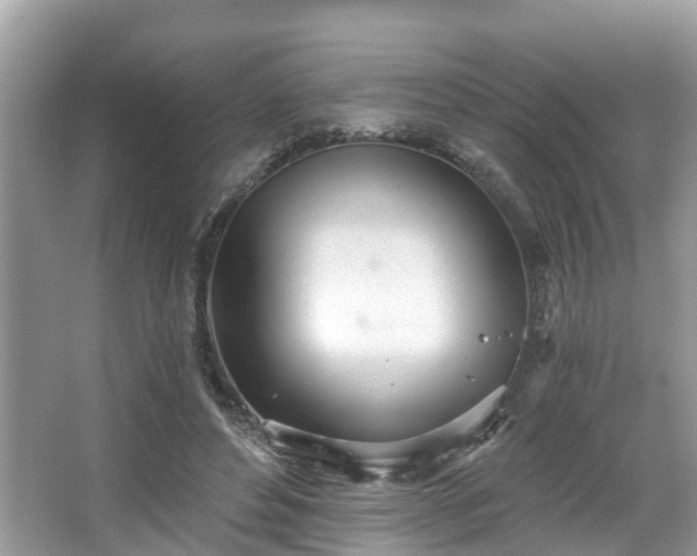 X0000067470496200604101202