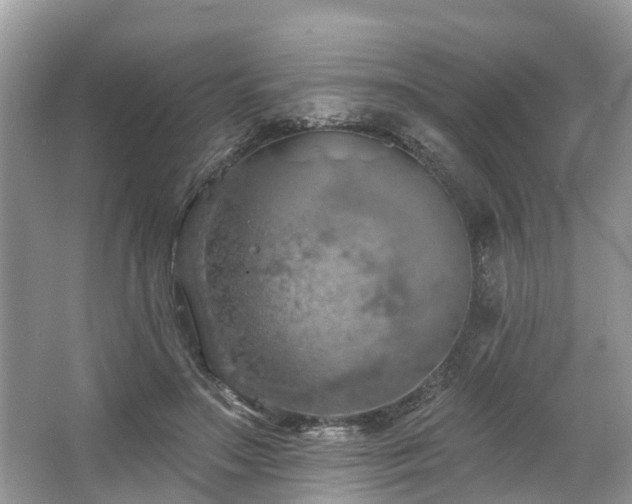 X0000067470499200604101202