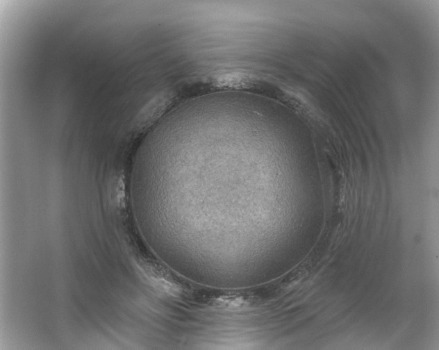 X0000067470502200604101202