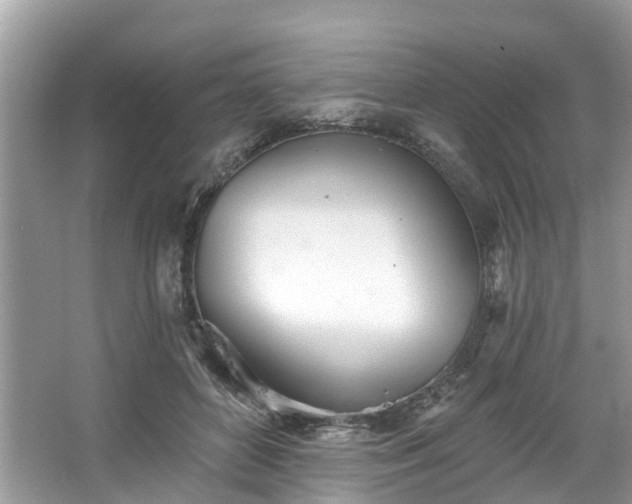 X0000067470504200604101202