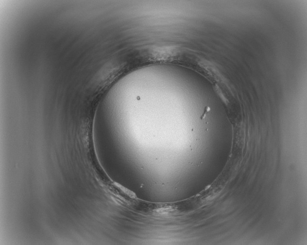 X0000067470505200604101202