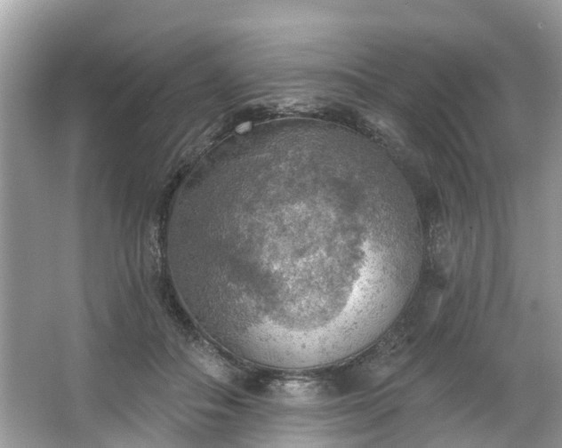 X0000067470506200604101202