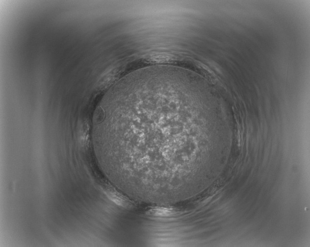 X0000067470507200604101202