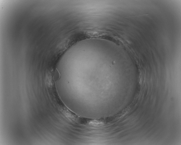 X0000067470515200604101202