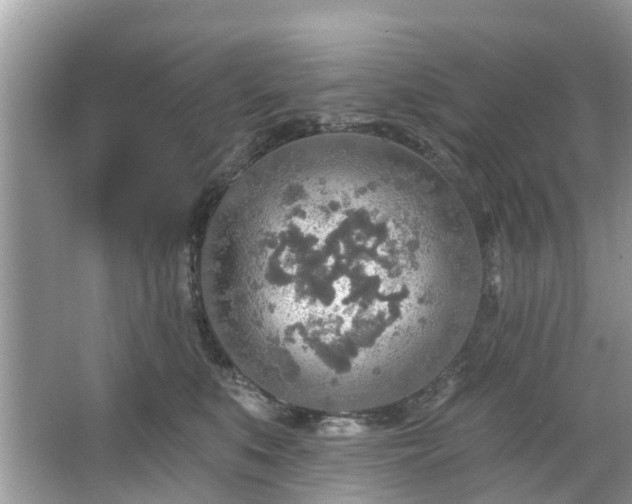 X0000067470519200604101202