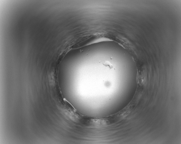 X0000067470520200604101202