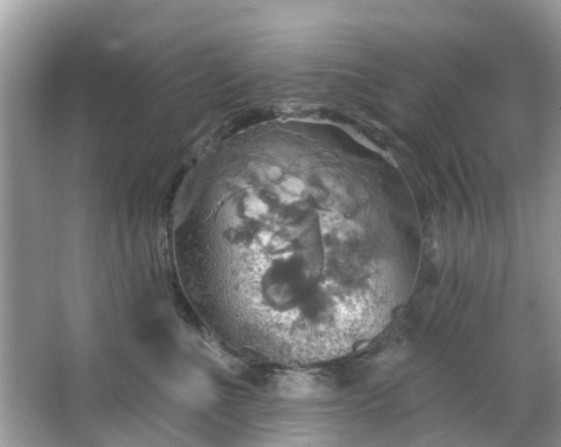 X0000067470523200604101202