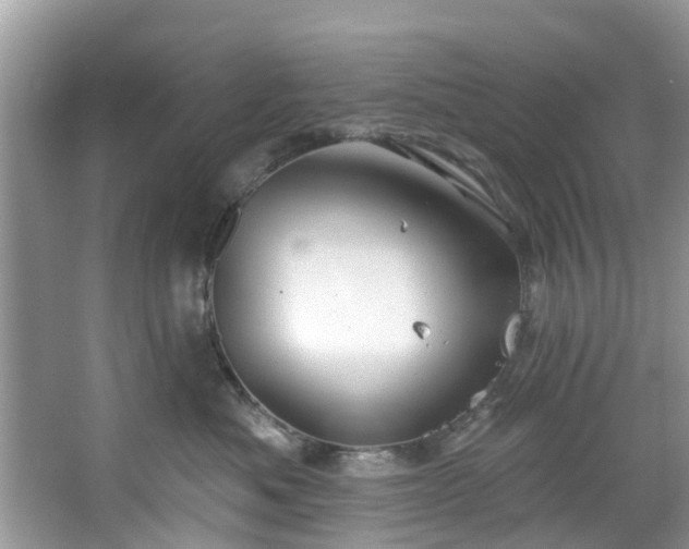 X0000067470525200604101202