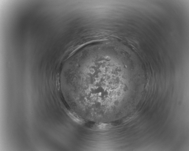 X0000067470527200604101202