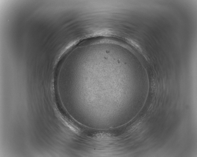 X0000067470535200604101201